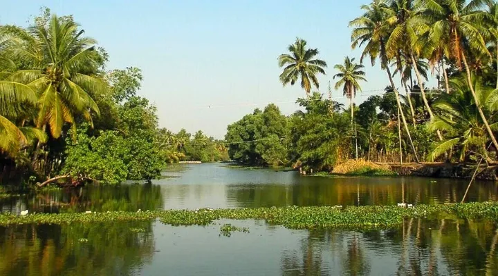 Goa & Kerala Beach Retreat