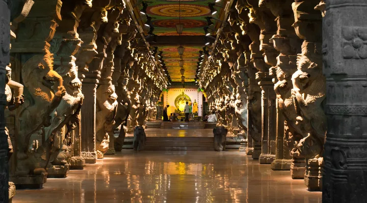 Kerala & Tamil Nadu Discovery
