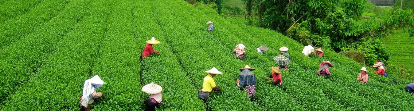 kerala tour package