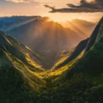 munnar.webp