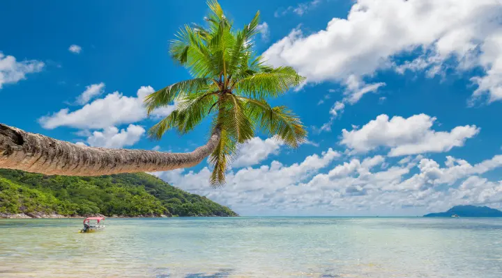 Goa