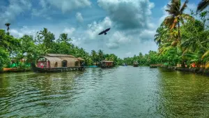 Alleppey tour