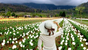 mughal garden trip package sri nagar