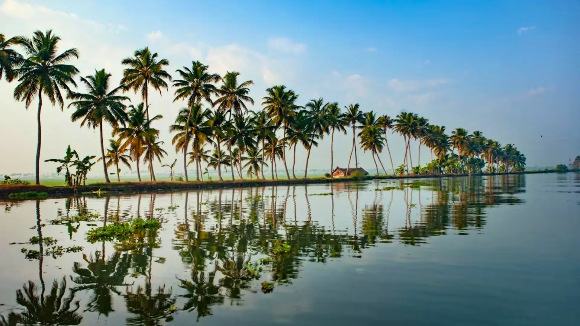 kerala travel guide