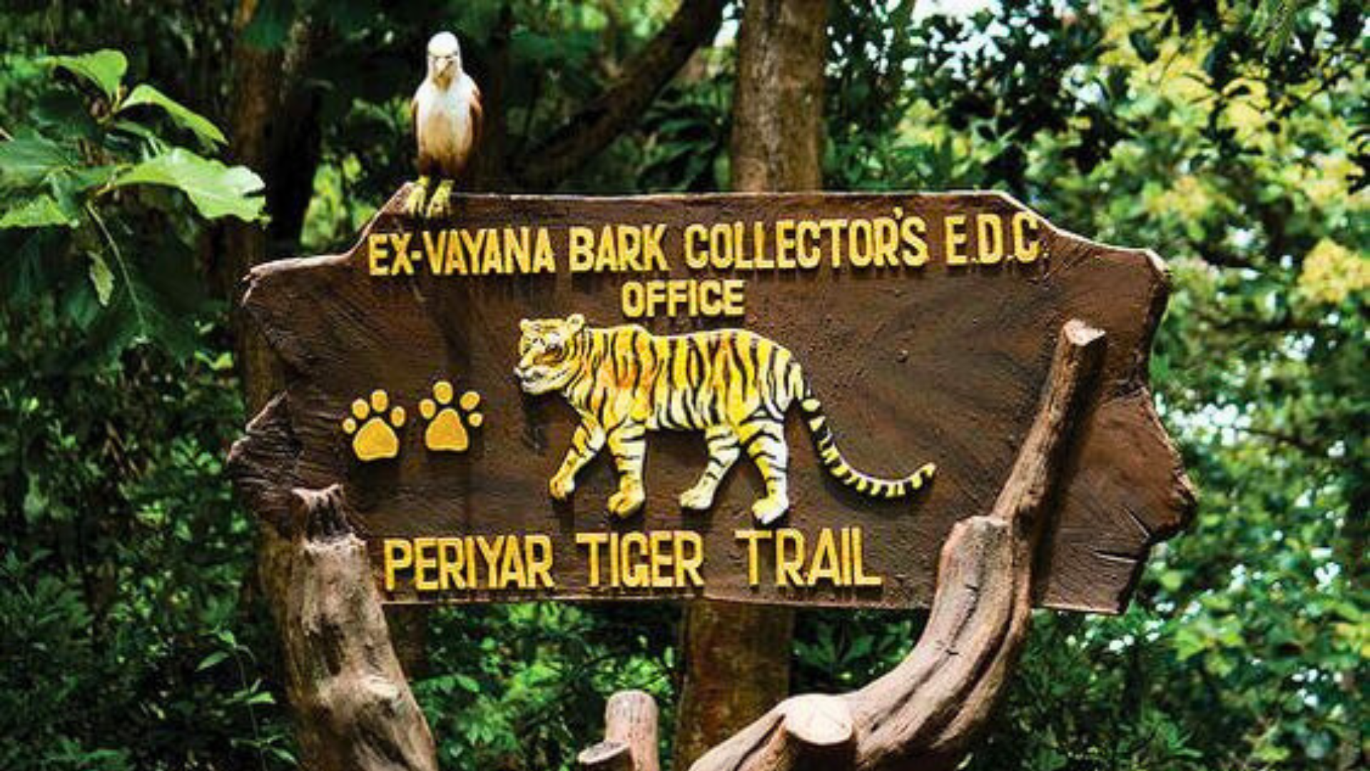 Periyar Wildlife Sanctuary